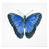 Blaue Morpho-Schmetterling-Aquarellmalerei Fotodruck (Vorne)