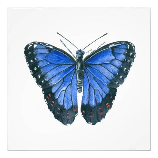 Blaue Morpho-Schmetterling-Aquarellmalerei Fotodruck (Vorne)