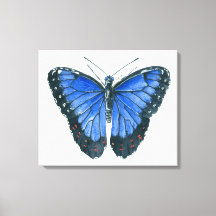 Blaue Morpho-Schmetterling-Aquarellmalerei