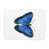 Blaue Morpho-Schmetterling-Aquarellmalerei Magnet (Horizontal)