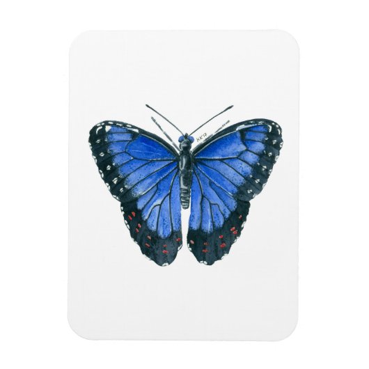 Blaue Morpho-Schmetterling-Aquarellmalerei Magnet (Vertikal)