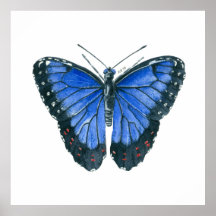 Blaue Morpho-Schmetterling-Aquarellmalerei