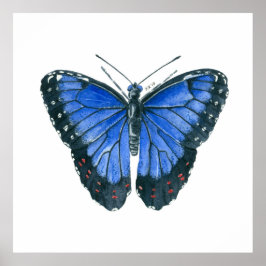 Blaue Morpho-Schmetterling-Aquarellmalerei Poster