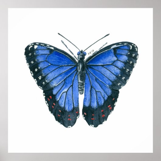 Blaue Morpho-Schmetterling-Aquarellmalerei Poster (Vorne)