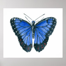 Blaue Morpho-Schmetterling-Aquarellmalerei