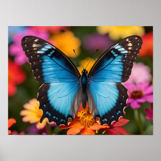 Blaue Morpho-Schmetterling Florale Botanische Foto Poster (Vorne)