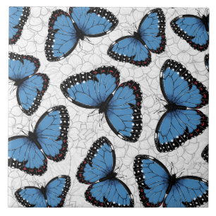 Blaue Morpho-Schmetterlinge Fliese
