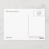 Blaue Moschee Postkarte (Rückseite)