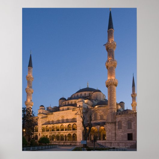 Blaue Moschee, Sultanhamet-Gebiet, Istanbul, Türke Poster (Vorne)