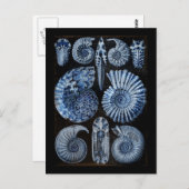 Blaue Muscheln Postkarte (Vorne/Hinten)
