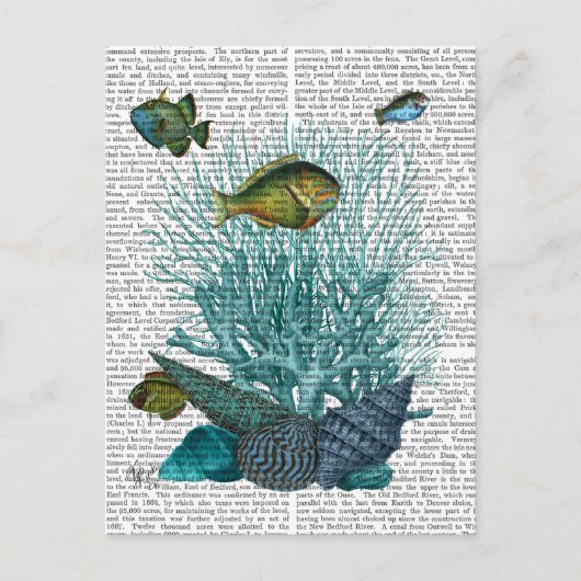 Blaue Muscheln und Korallen Postkarte (Vorderseite)