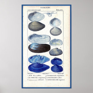Blaue Muscheln Vintage botanische französische Mee Poster