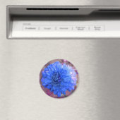 Blaue Mutter Magnet (In Situ (Geschirrspüler))