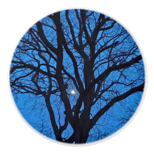 Blaue Nachtbaum-Himmel  Keramikknauf (Vorderseite)
