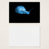 Blaue Neonschnecke (Vorne & Hinten)