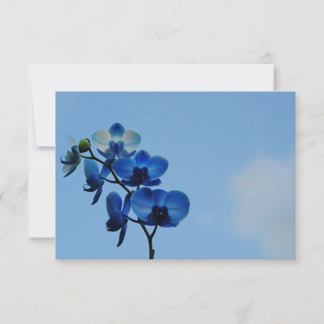 Blaue Orchidee (Vorderseite)