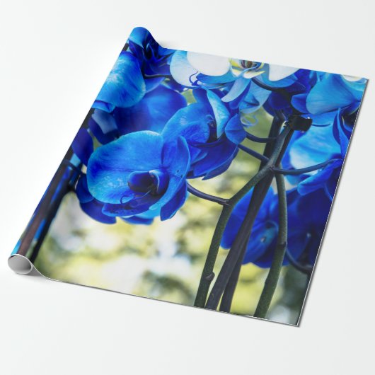 Blaue Orchidee Geschenkpapier (Ungerollt)