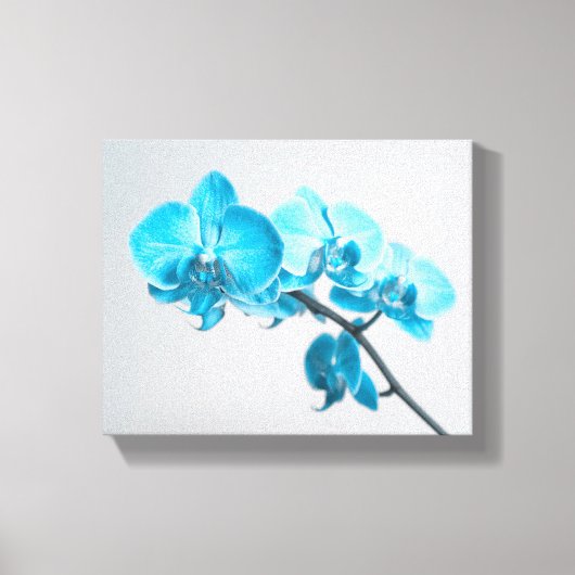 blaue Orchidee Leinwanddruck (Vorderseite)