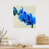 Blaue Orchidee Poster (Küche)