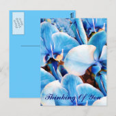 Blaue Orchideen der Liebe_ Postkarte (Vorne/Hinten)