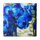 Blaue Orchideen Fliese (Vorderseite)