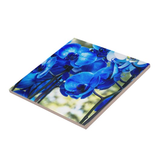 Blaue Orchideen Fliese (Seite)