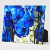Blaue Orchideen Fotoplatte (Seite)