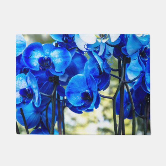 Blaue Orchideen Fußmatte (Vorderseite)