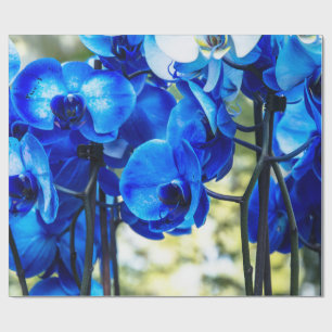 Blaue Orchideen Geschenkpapier
