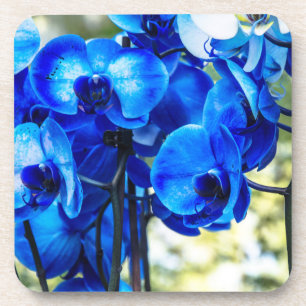 Blaue Orchideen Getränkeuntersetzer