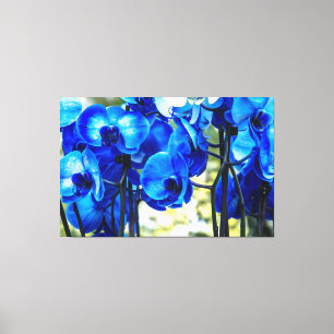 Blaue Orchideen Leinwanddruck