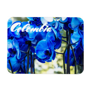 Blaue Orchideen Magnet