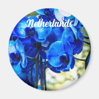 Blaue Orchideen