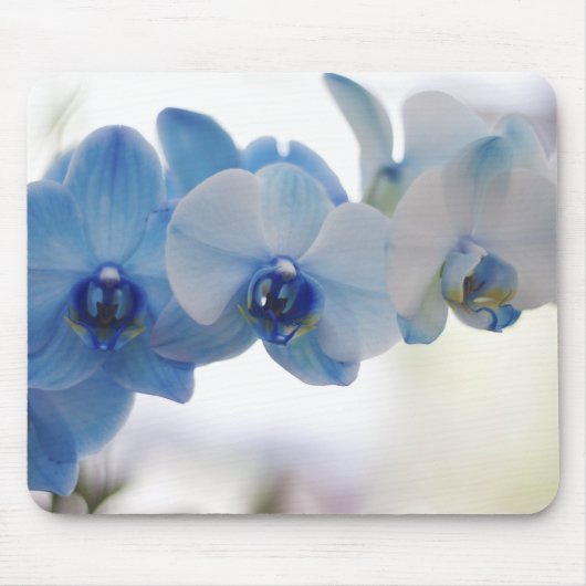 Blaue Orchideen Mousepad (Vorne)