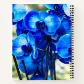 Blaue Orchideen Notizblock (Rückseite)