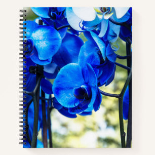 Blaue Orchideen Notizblock