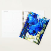 Blaue Orchideen Planer (Anzeige)