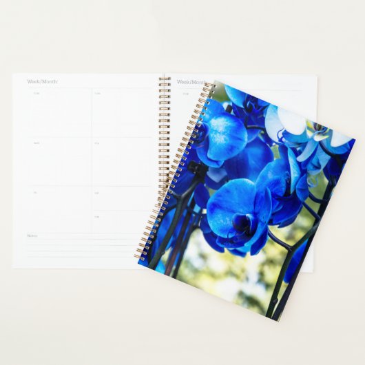 Blaue Orchideen Planer (Anzeige)