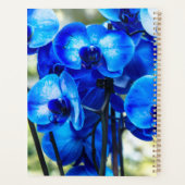 Blaue Orchideen Planer (Rückseite)