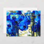 Blaue Orchideen Postkarte (Vorne/Hinten)