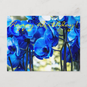 Blaue Orchideen Postkarte