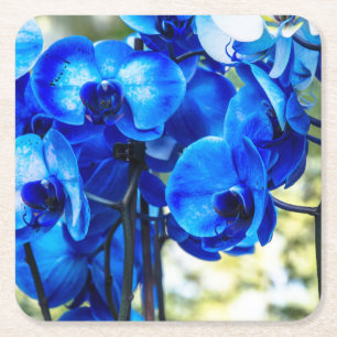 Blaue Orchideen Rechteckiger Pappuntersetzer