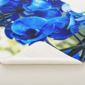 Blaue Orchideen Sherpadecke (3/4)