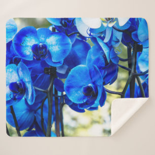 Blaue Orchideen Sherpadecke
