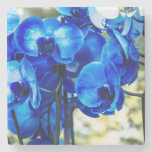 Blaue Orchideen Steinuntersetzer