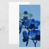 Blaue Ordhid (Vorne/Hinten)
