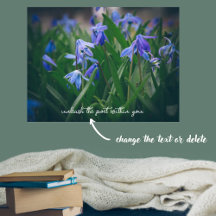 Blaue Oszillatoren-Blume im Frühjahrsgarten