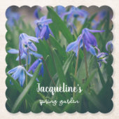 Blaue Oszillatoren-Blume im Frühjahrsgarten Untersetzer (Vorderseite)