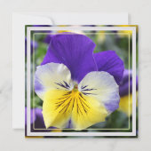 Blaue Pansy-Blume Party Einladung (Rückseite)