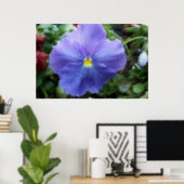 Blaue Pansy Soft Sketch Poster (Heimbüro)